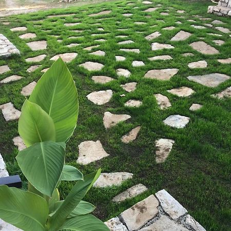 Green Silence - Vuk พอดโกริกา ภายนอก รูปภาพ